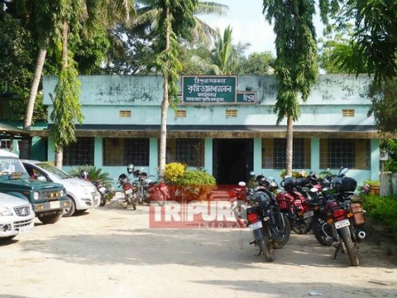 Kamalpur: Party-raj tightened in the Agriculture Superintendent office